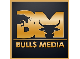 Bulls Media